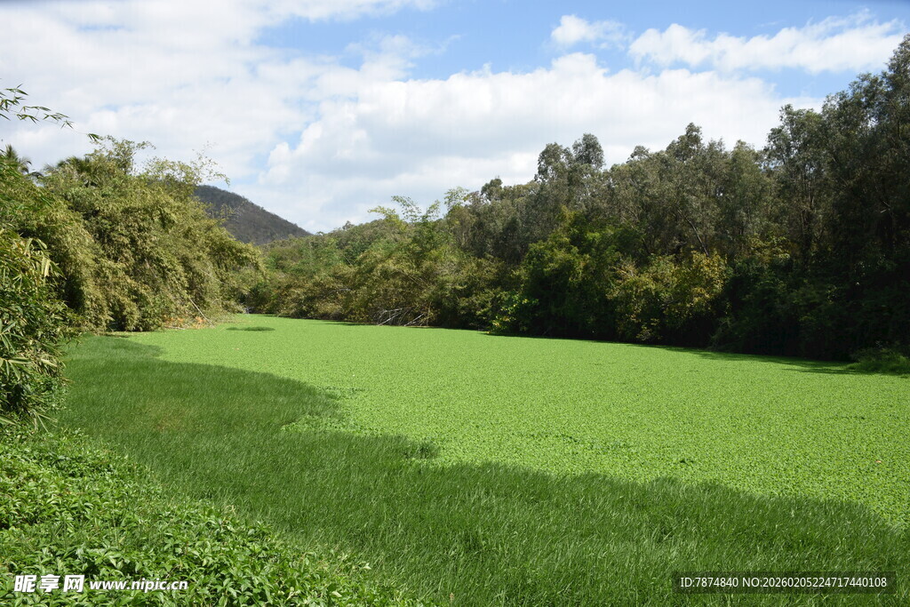 三亚翠绿田野间的自然美景