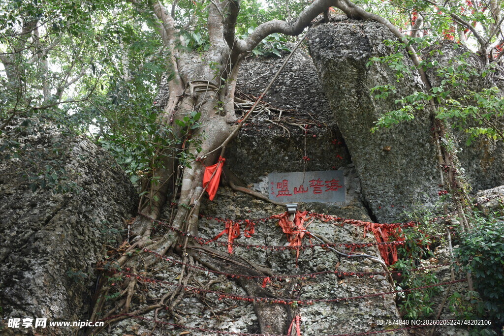 三亚古树下祈福处