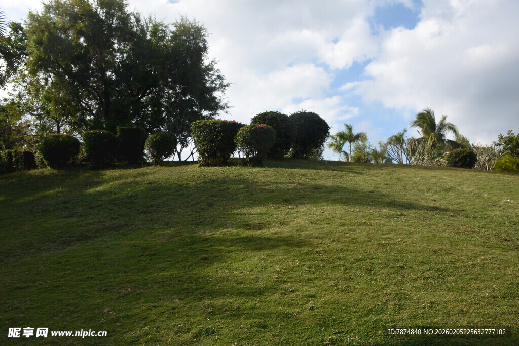 三亚绿意盎然的户外草地景观