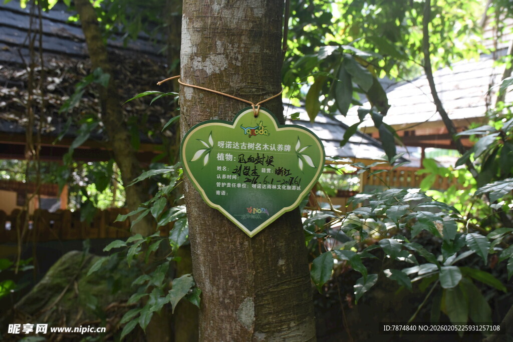 三亚树上心形标识牌展示信息