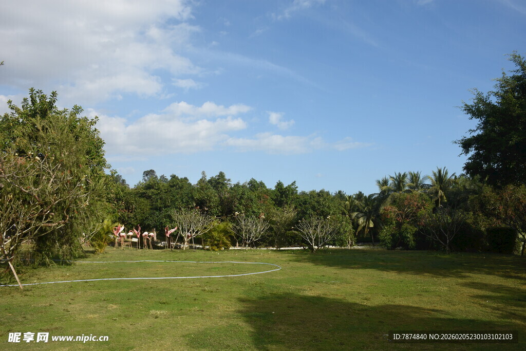 三亚户外绿草地与树木景观