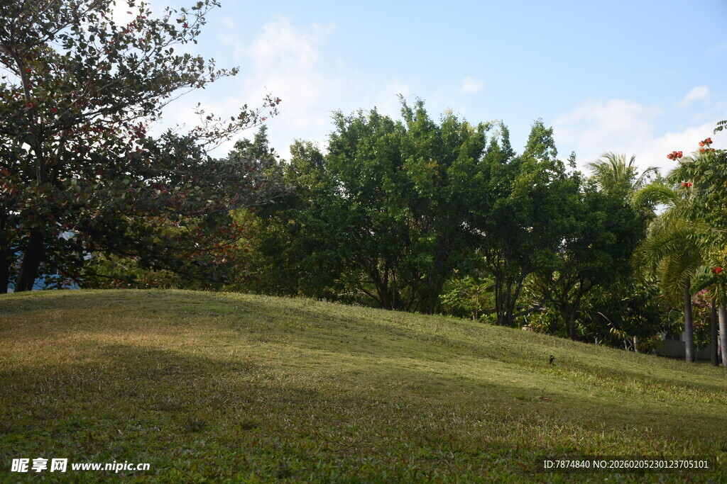 三亚绿意盎然的户外草地景观