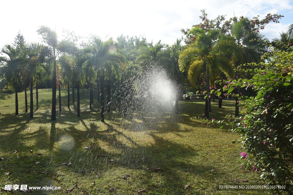 三亚园林自动喷水灌溉场景