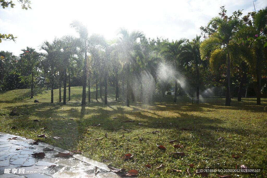 三亚阳光洒下的林间喷水景观