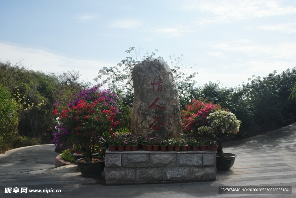 三亚户外花坛景观 繁花簇拥