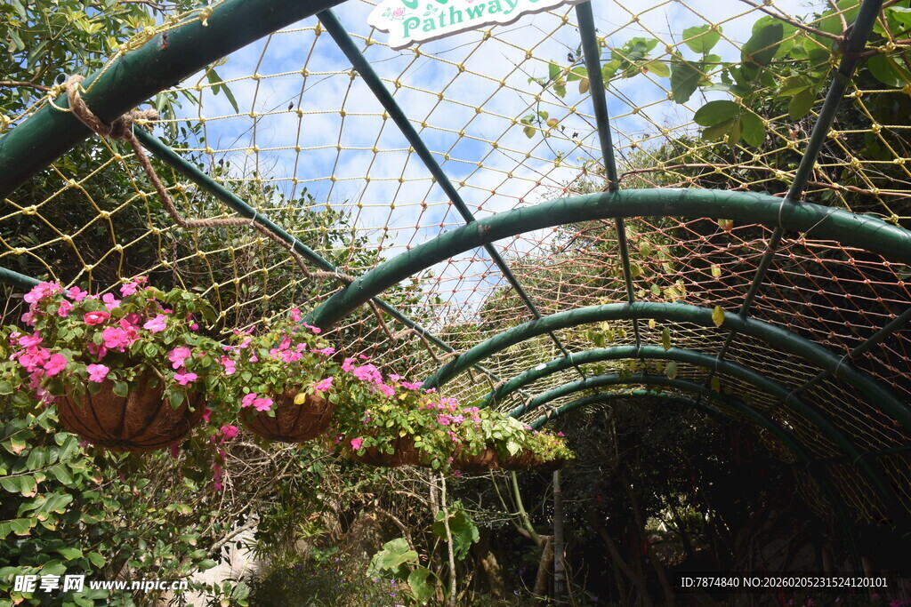 三亚拱形花廊 绿植繁花美景