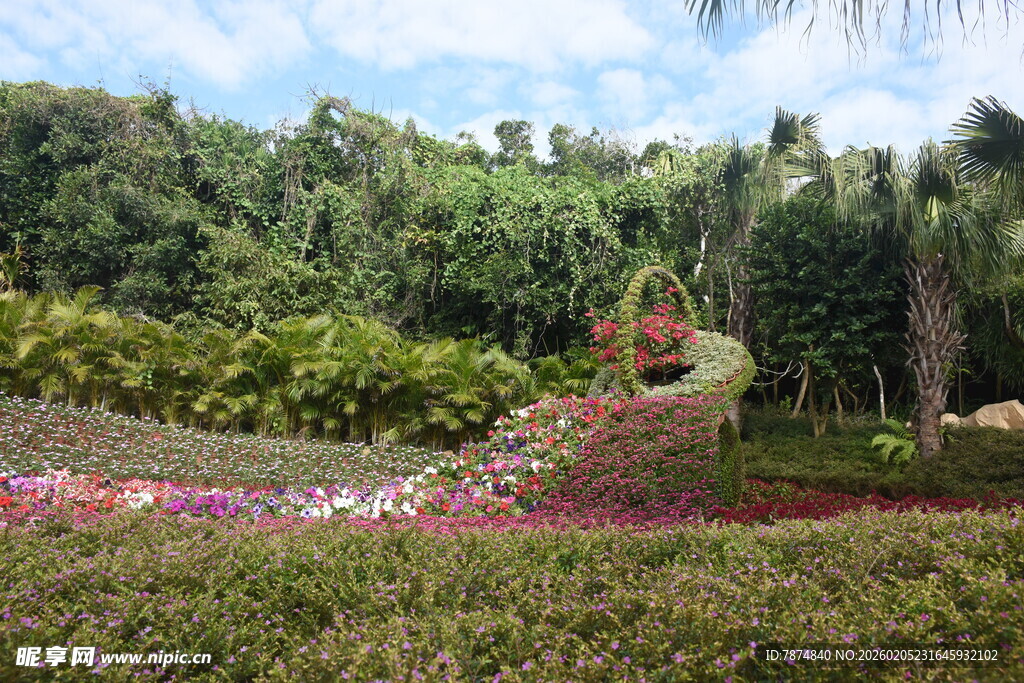 三亚梦幻花卉雕塑景观