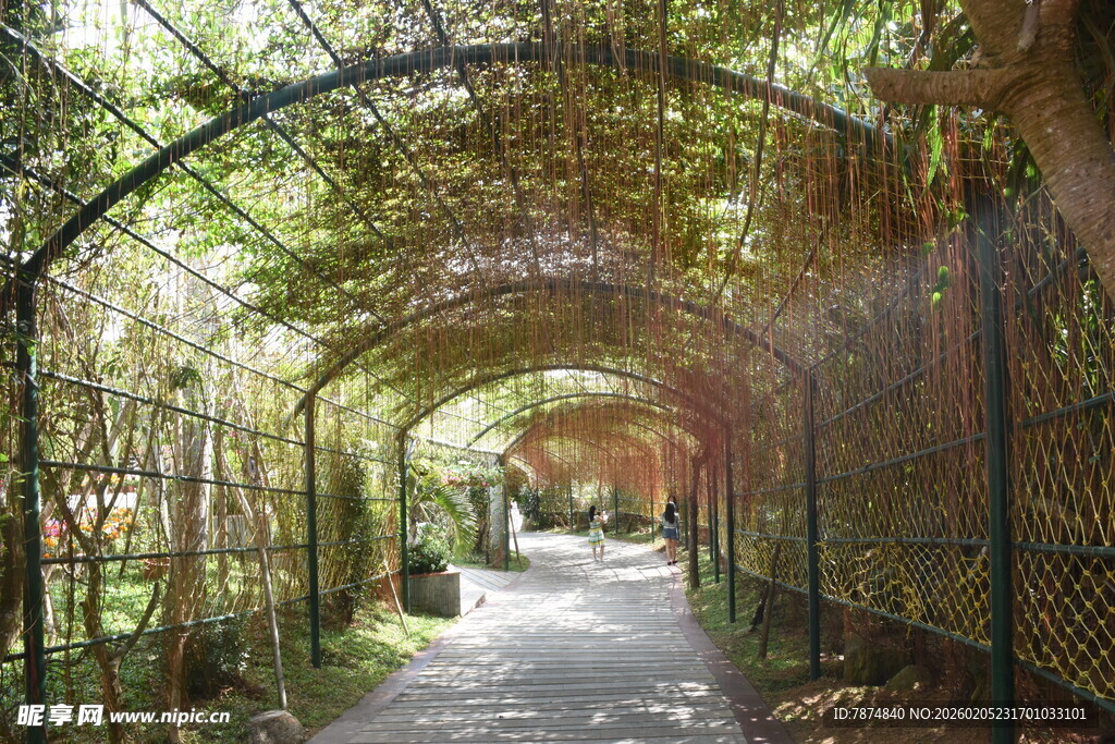 三亚绿荫环绕的浪漫拱形小道