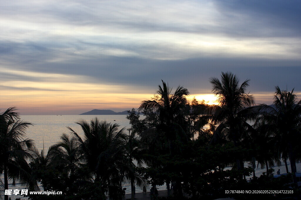 三亚海边日落时的椰树剪影