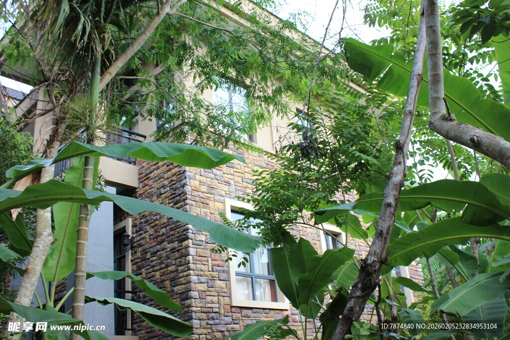 三亚绿植环绕的古朴建筑