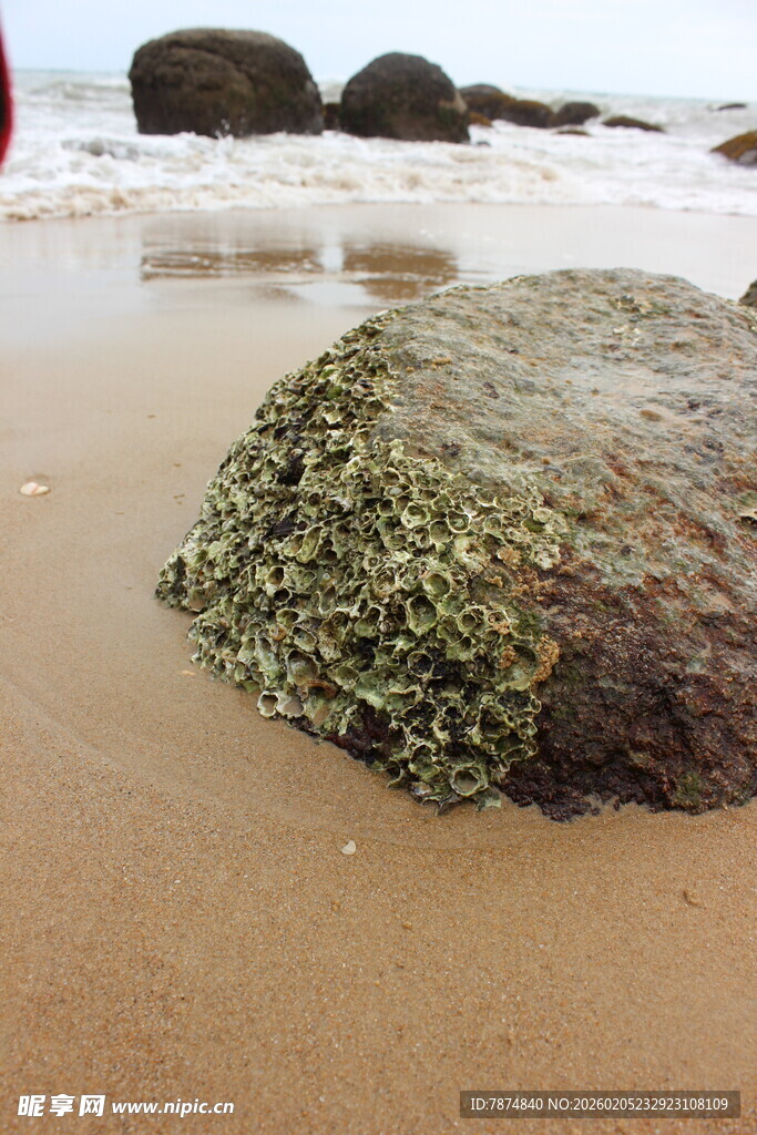 三亚海滩上覆满海藻的岩石