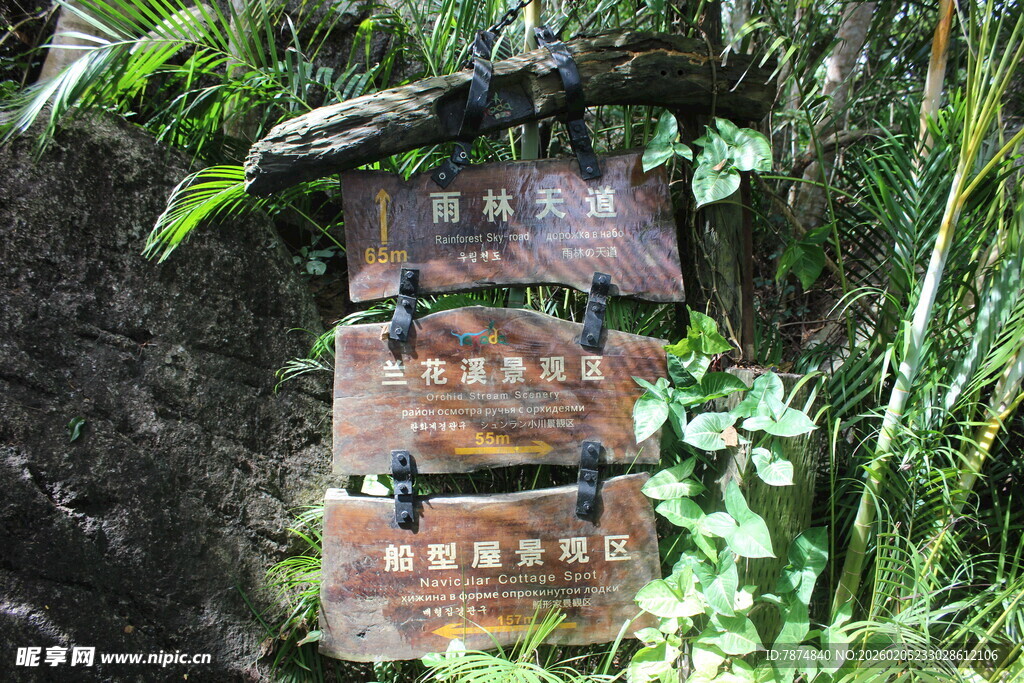 三亚森林中的古老金属铭牌