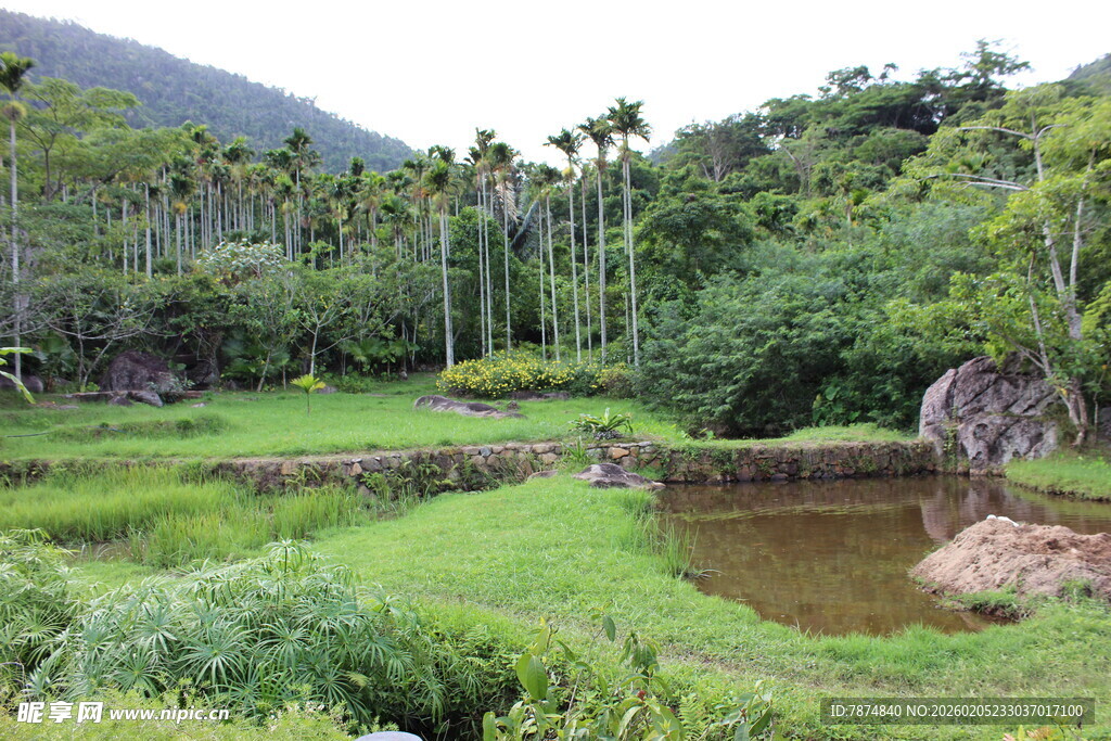三亚山间绿野池塘自然美景