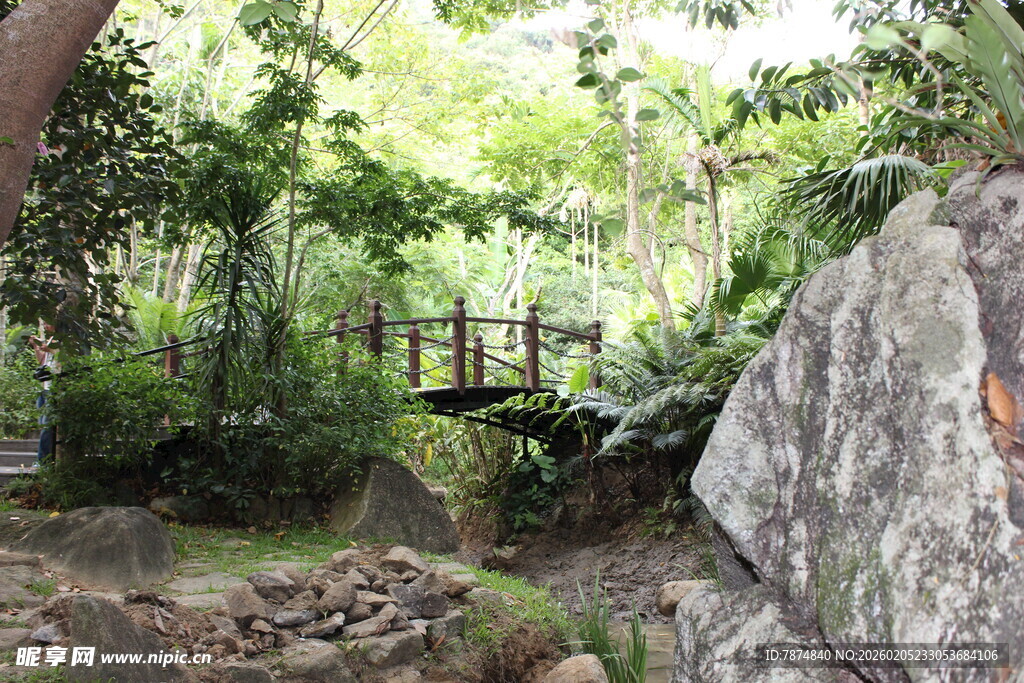 三亚林间石桥 自然静谧之景