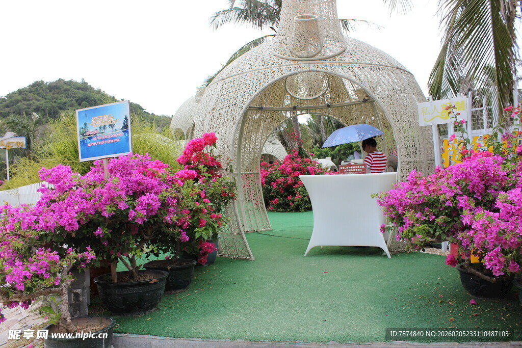 三亚户外浪漫花卉装饰拱门