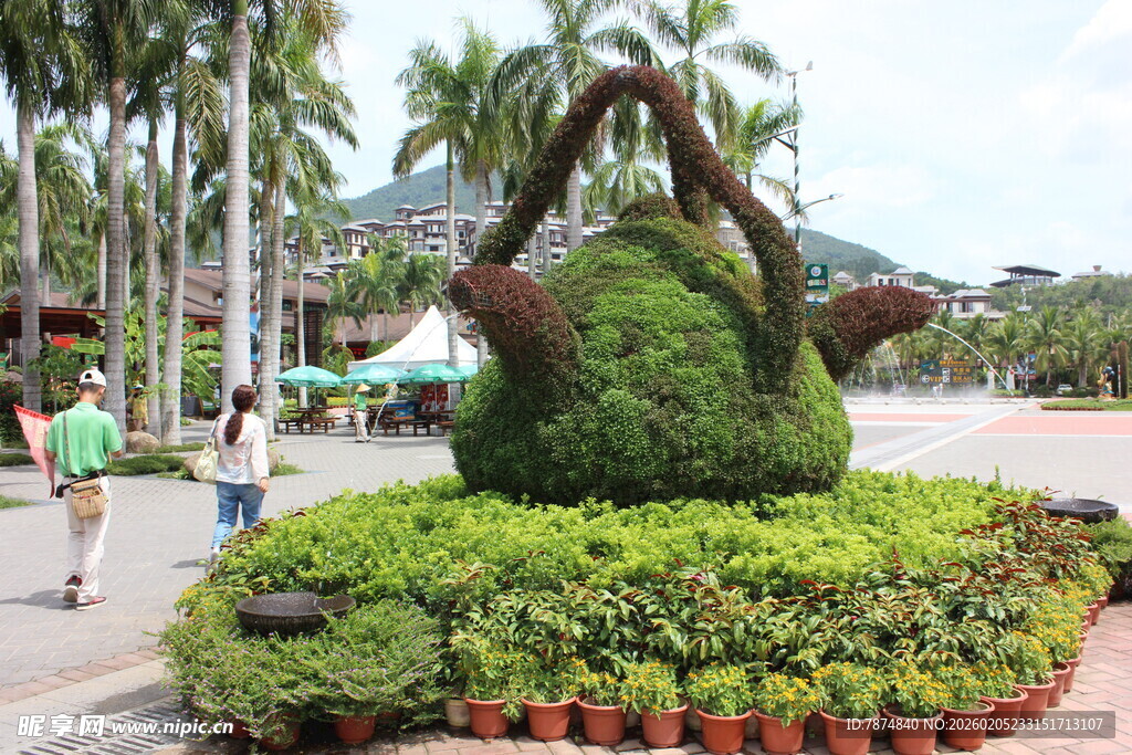 三亚造型别致的绿植景观