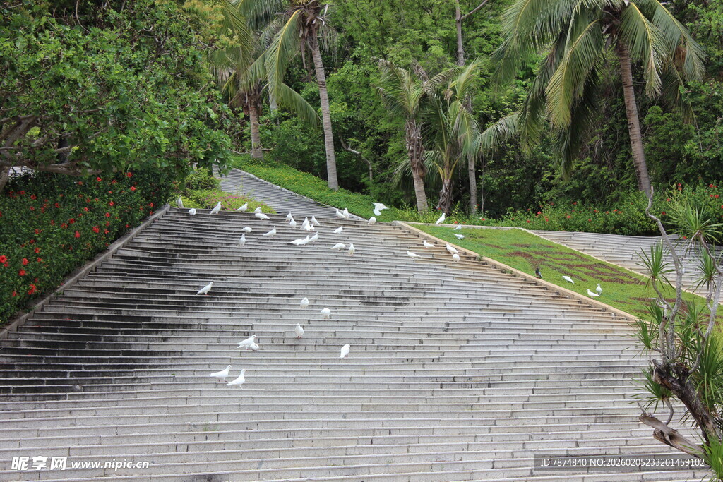 三亚林间碎石路 绿植环绕