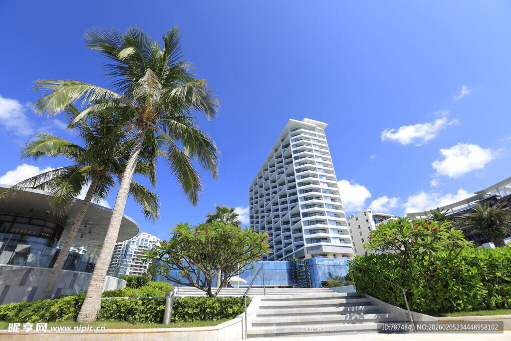 三亚海滨城市高楼与棕榈树景观