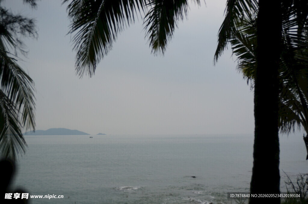三亚海边椰树映衬朦胧海景