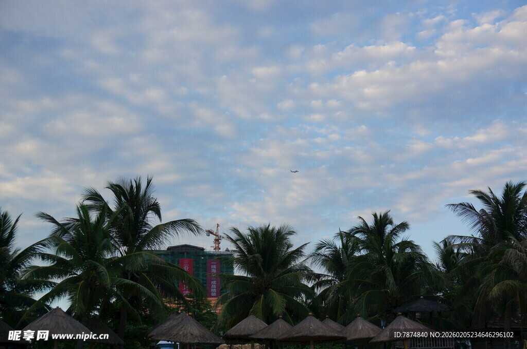 三亚椰林蓝天 热带风情美景