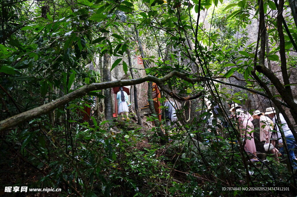 三亚丛林中的探险人群