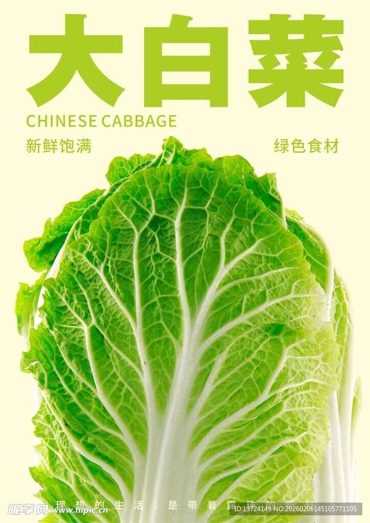 白菜海报