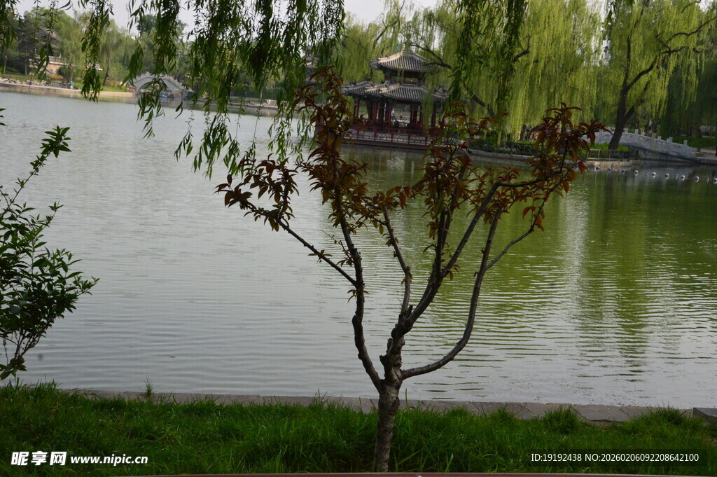 公园风景 