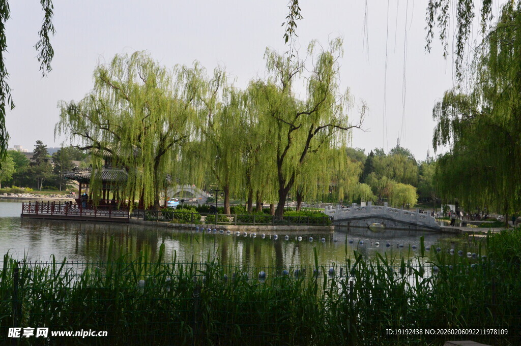 公园风景 