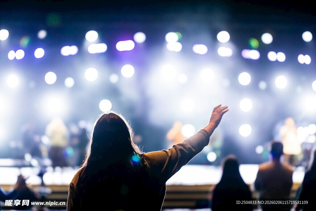 观众在演唱会现场热情欢呼