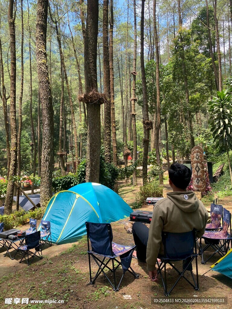 森林中惬意的露营场景