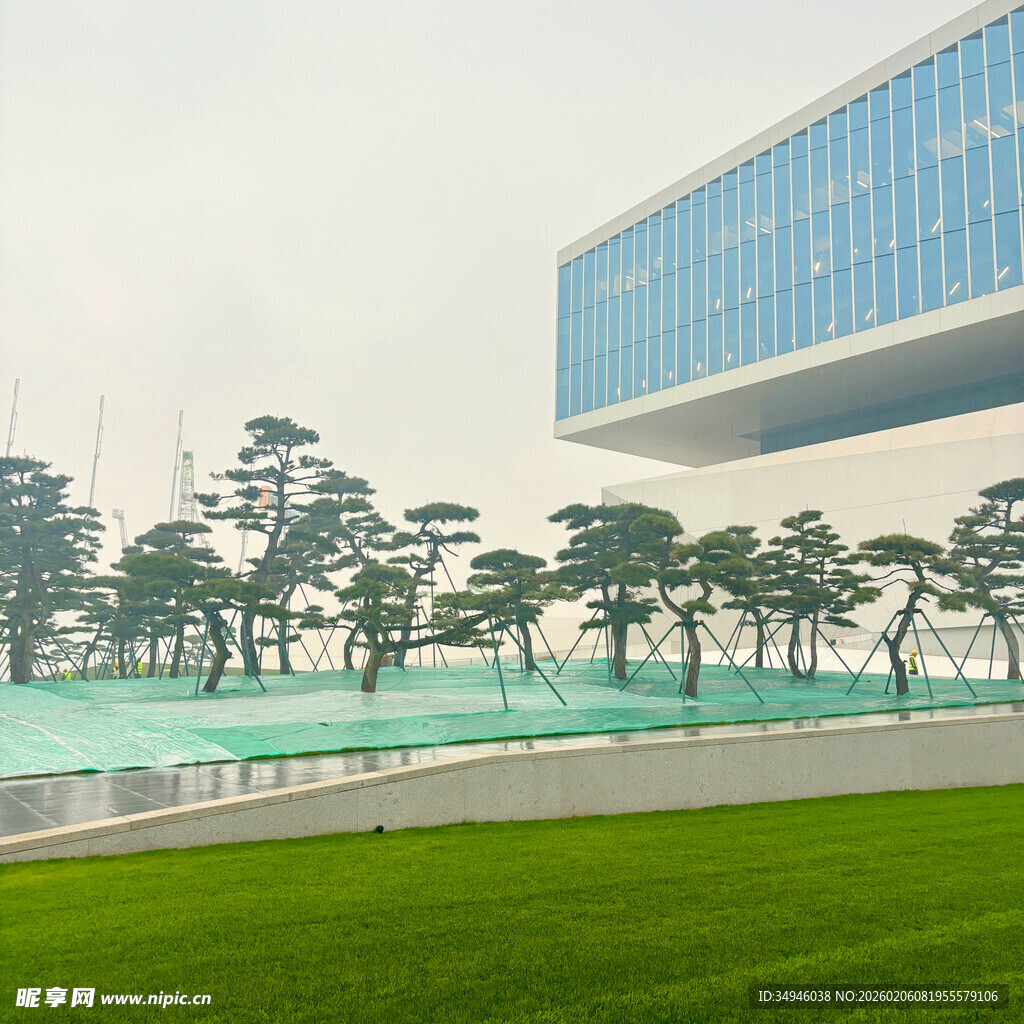 现代建筑旁的绿地与树木