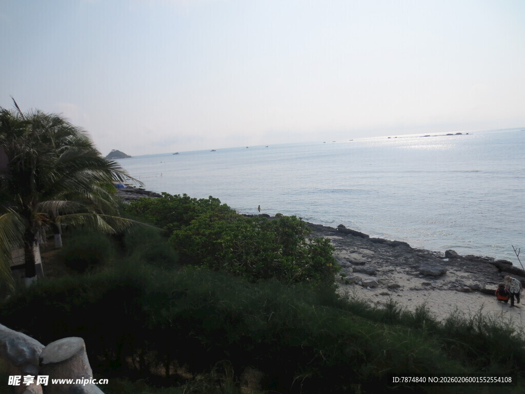三亚海边景致 绿植环绕的海岸线
