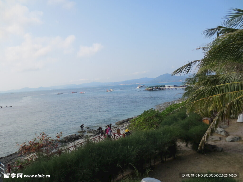 三亚海边美景 椰树相伴