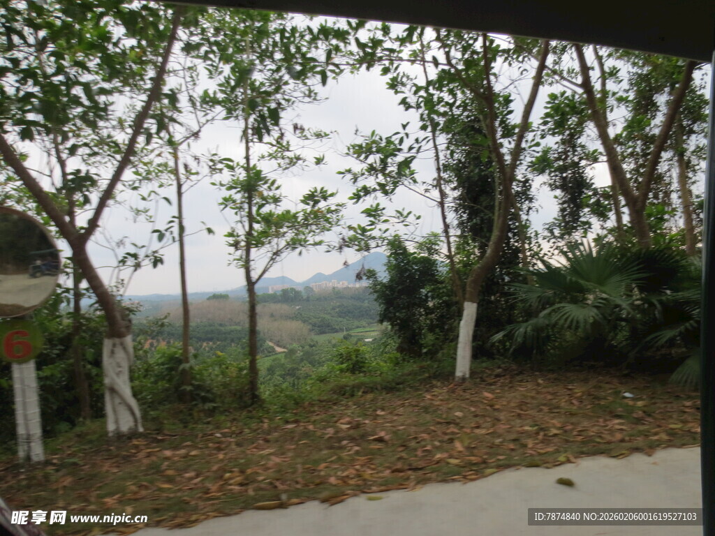 三亚林间小道 自然静谧之景