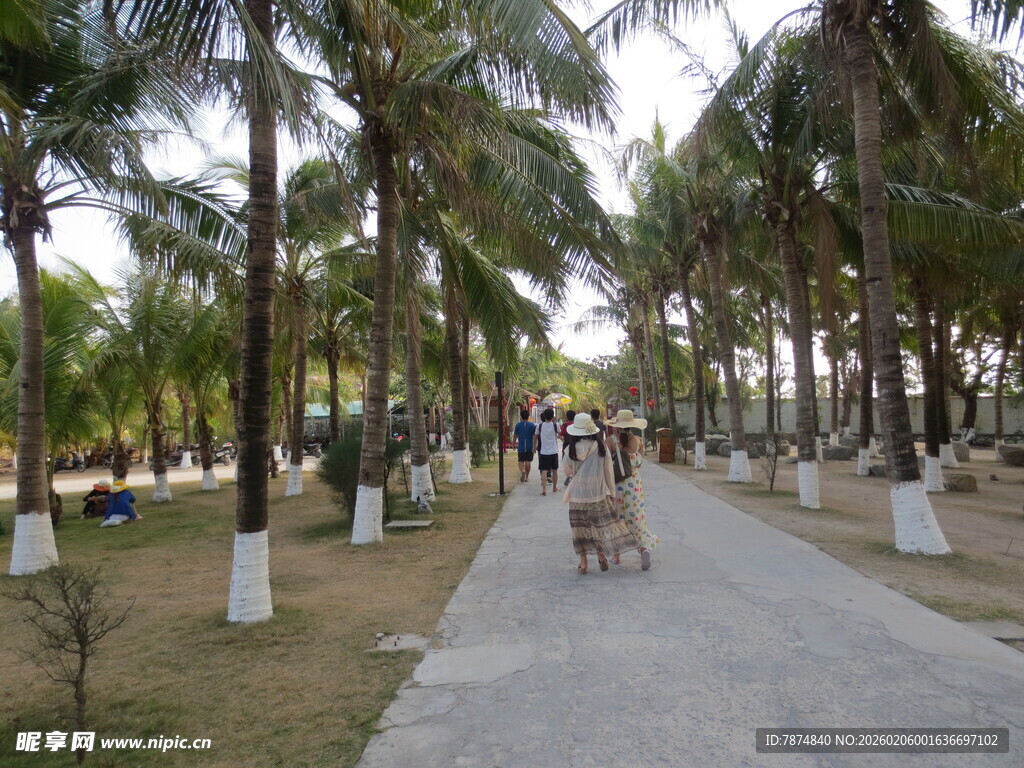 三亚椰林小道上的悠闲漫步
