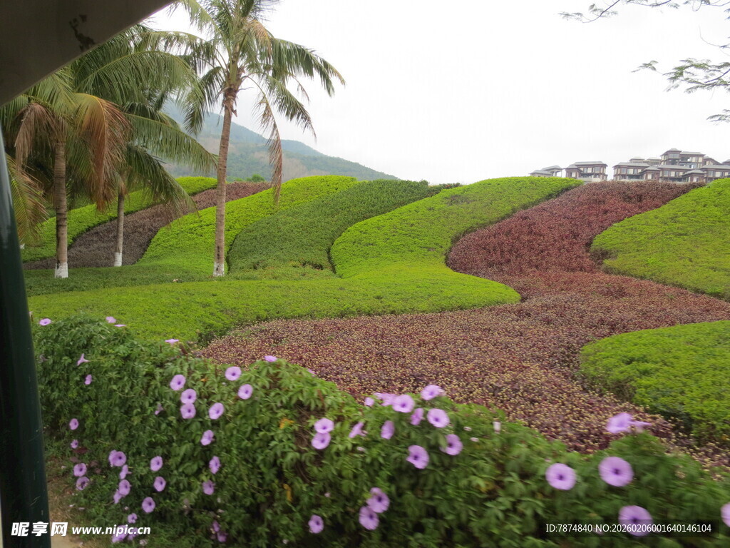 三亚美丽花园景观 花草繁茂