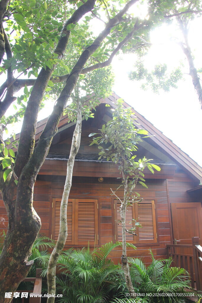 三亚林间木屋 自然静谧之景