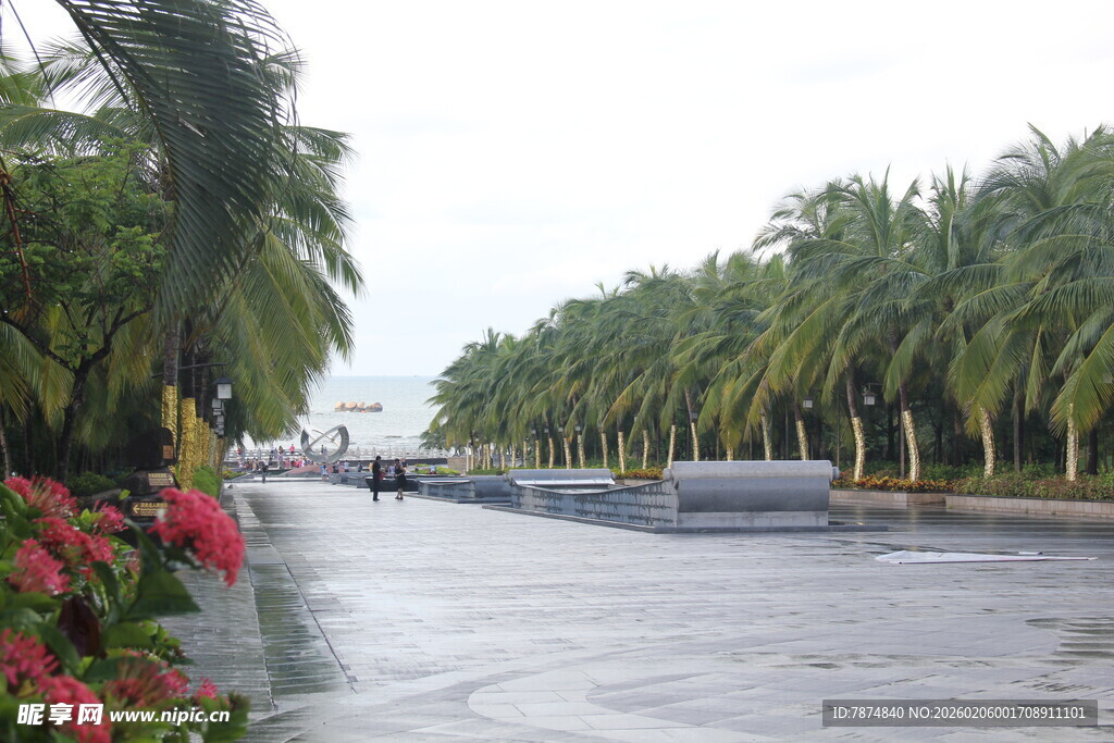 三亚海滨椰林景观