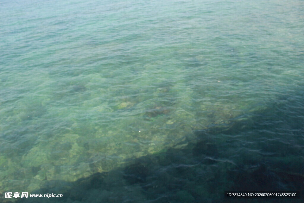 三亚清澈海水中的斑斓海底世界