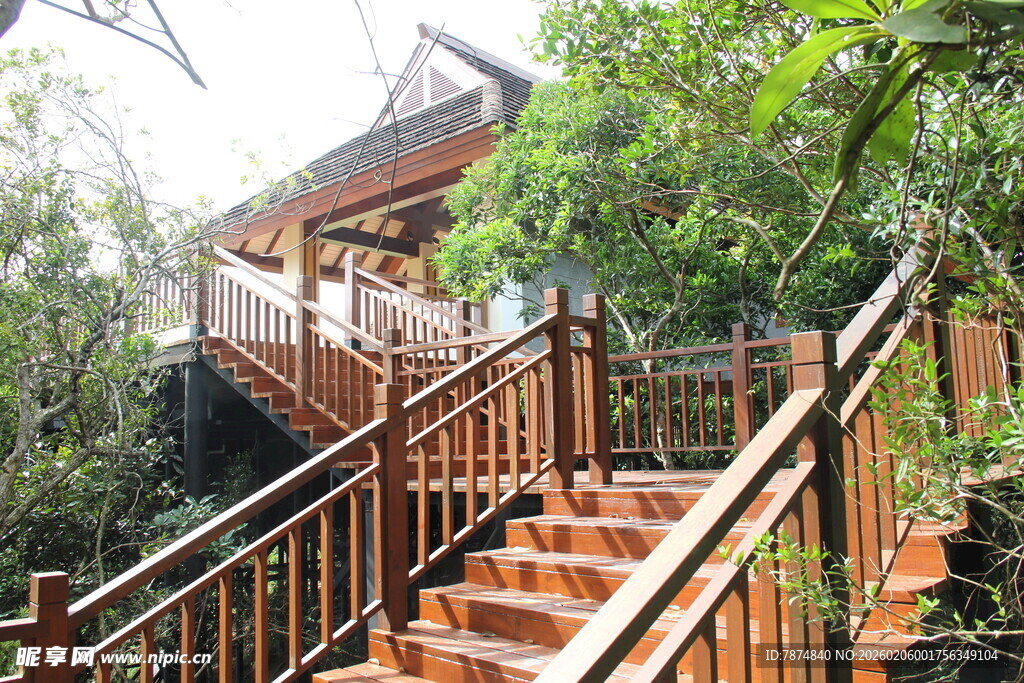 三亚林间木质楼梯与温馨小屋