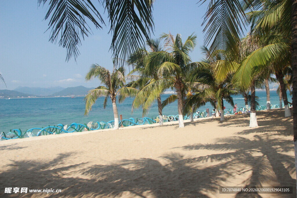 三亚热带海滩风光 椰树与大海