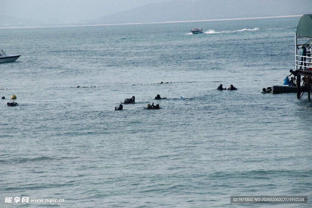 海上船只与水中活动场景