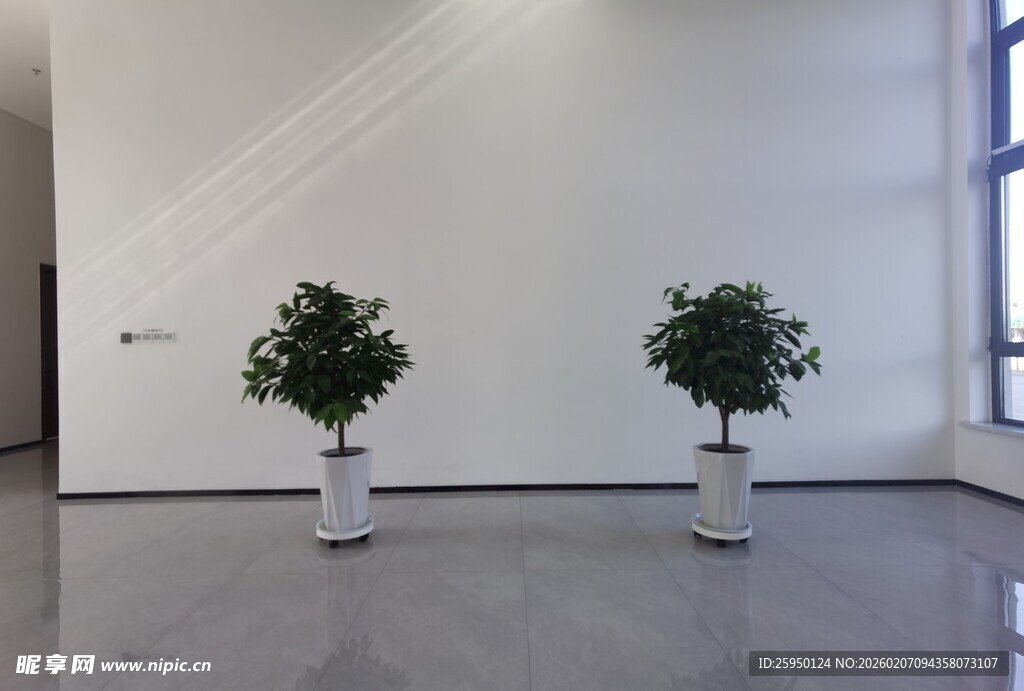 室内绿植装饰的空旷空间