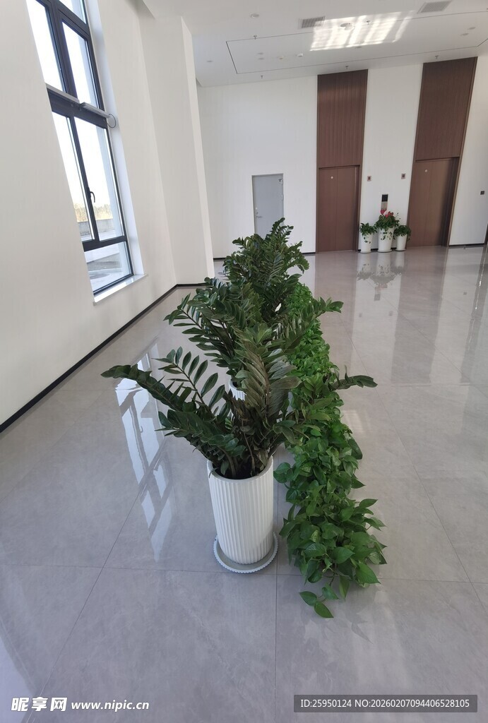室内绿植装点宽敞办公空间