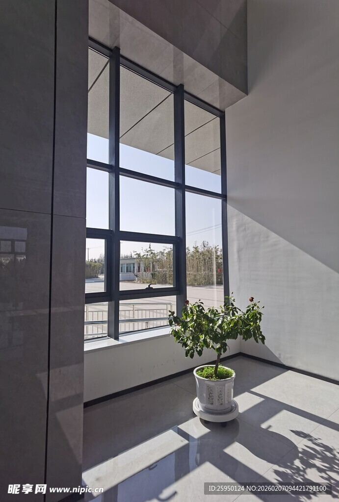 现代室内明亮窗边绿植景致