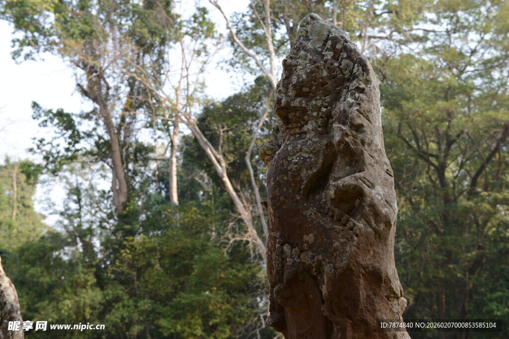 森林中的古老神秘石柱