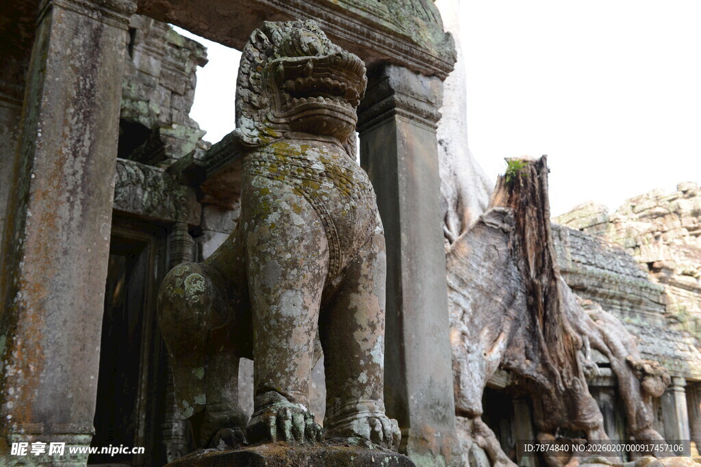 古老石兽守护神秘遗迹