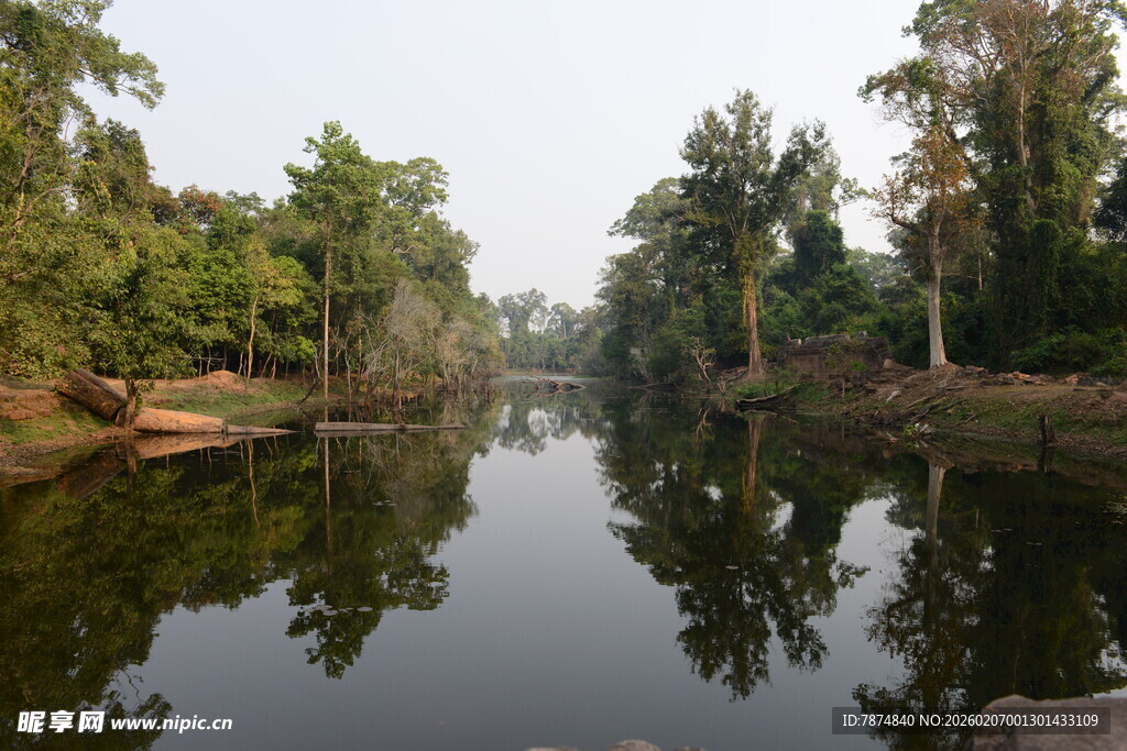 宁静河畔绿树倒影美景