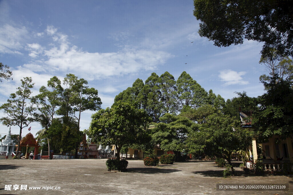 户外绿树环绕的空旷场地