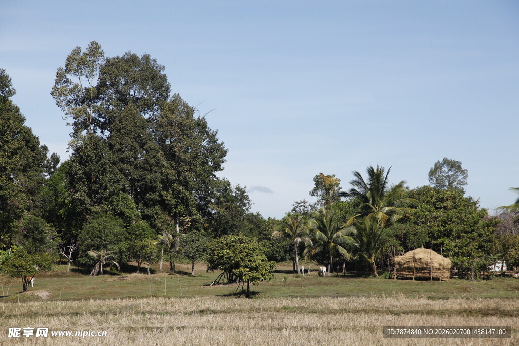 乡村田野风光景象